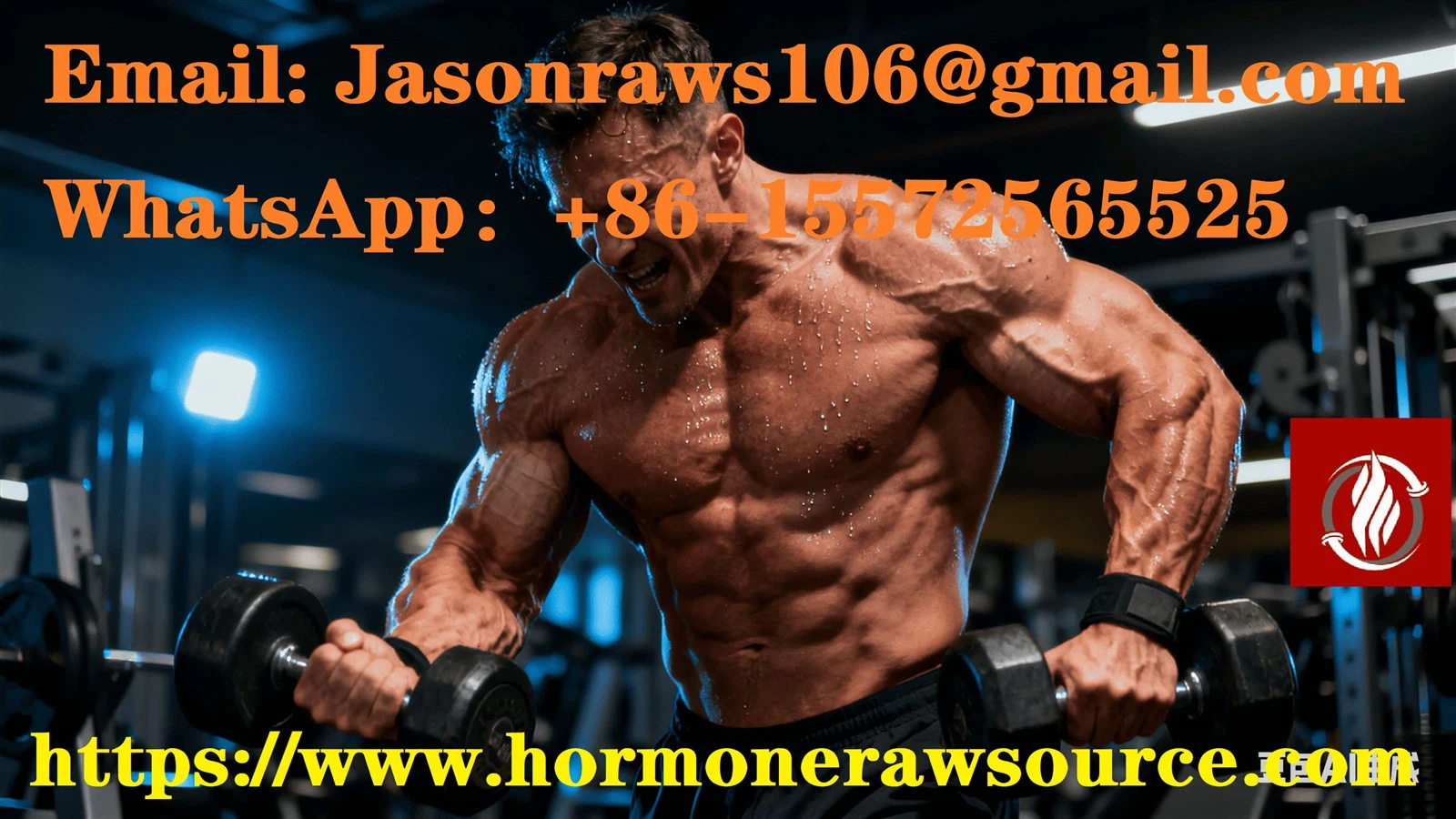 bodybuilding bodybuilding