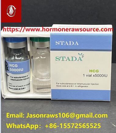 STADA Premium Human Chorionic Gonadotropin (HCG)5000iu/Vial For Bodybuilding CAS:9002-61-3
