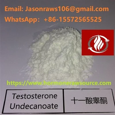 پودر استروئیدهای تستوسترون Undecanoate برای بدن سازی CAS: 5949-44-0